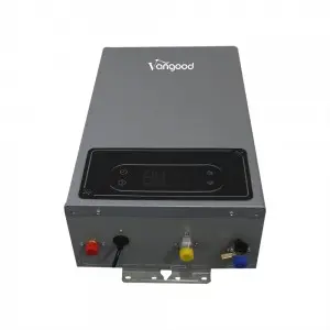 Balanced Exhaust Gas Water Heater With Double Pipe