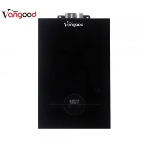 Instant 12l Tankless Hot Gas Water Heater Quick Connect Overheating Lgp Shower