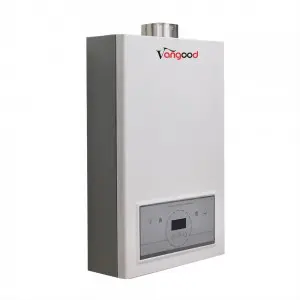 Professional Odm Indoor Portable Shower Gas Hot Water Heater