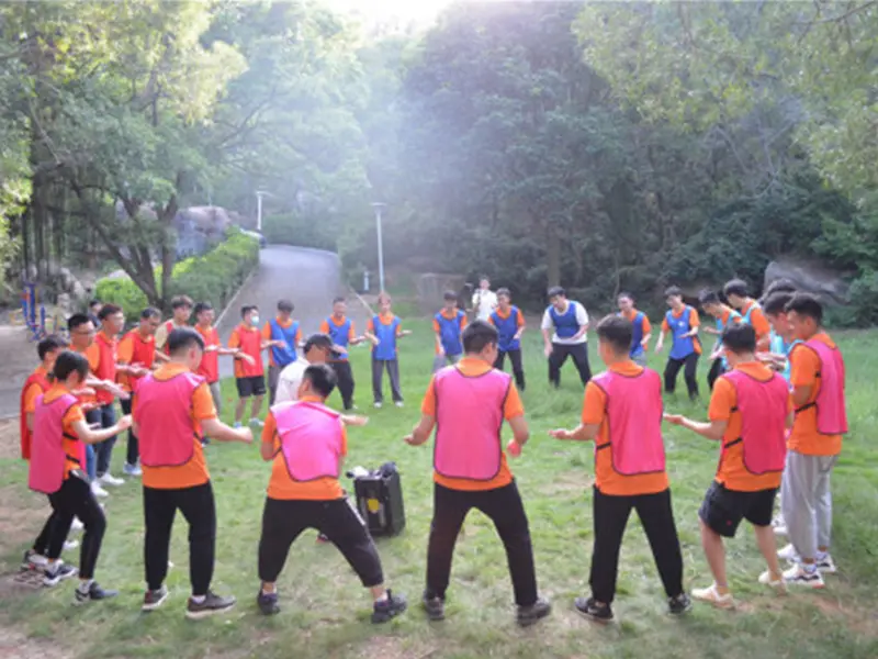 Focus On Team Cohesiveness