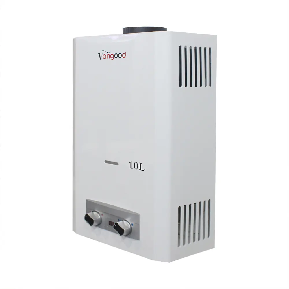 /flue-type-gas-water-heater/