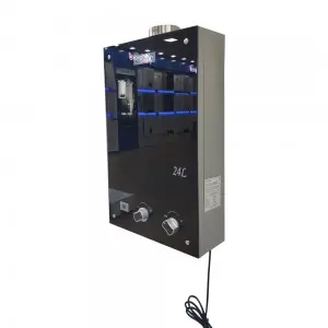 Wholesale OEM Customized Hot Selling 24L Wall Mounted Gas Water Heater for Home Use Instant Hot Tankless