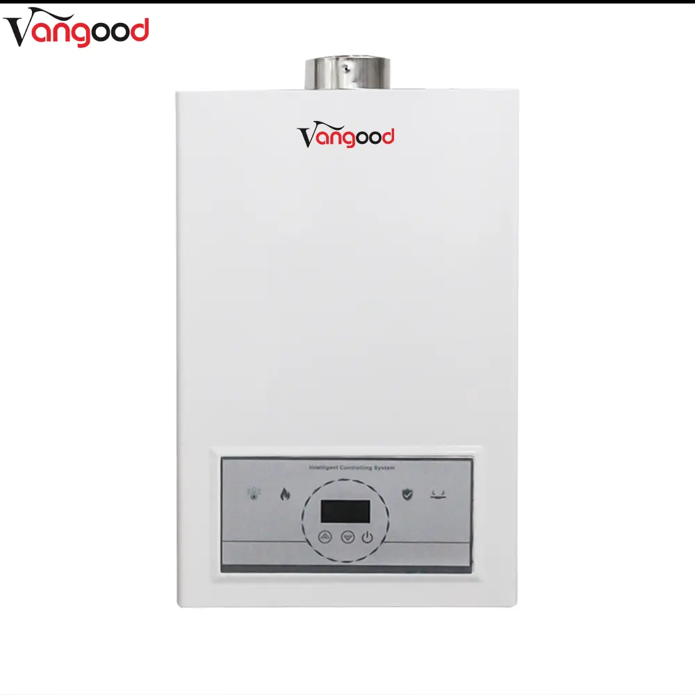 Professional Odm Indoor Portable Shower Gas Hot Water Heater