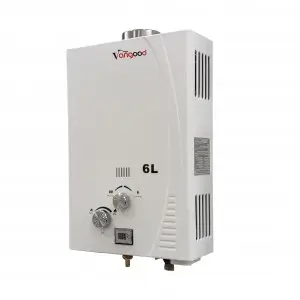 Competitive Price Wall Mounted Hot Water Tankless Instant Gas Water Heater