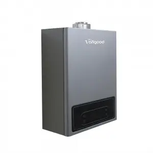 Balanced Exhaust Gas Water Heater With Double Pipe