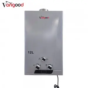 Forced Exhaust Type Lpg Ng Gas Hot Water Heater