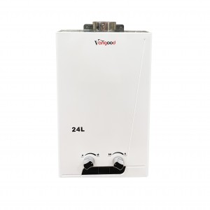 High Quality OEM Supplier New Design Surface Home Appliance Flue Type Gas Water Heater