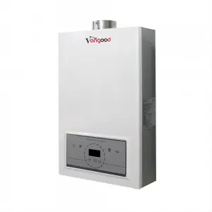 Professional Odm Indoor Portable Shower Gas Hot Water Heater