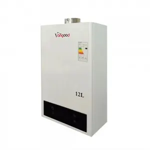 Instant 12l High Efficiency Tankless Gas Water Heater China Wholesale Price