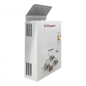 Professional China China Flue Type Tankless Instant Hot Natural Propane LPG Bathroom Shower Gas Water Heaters
