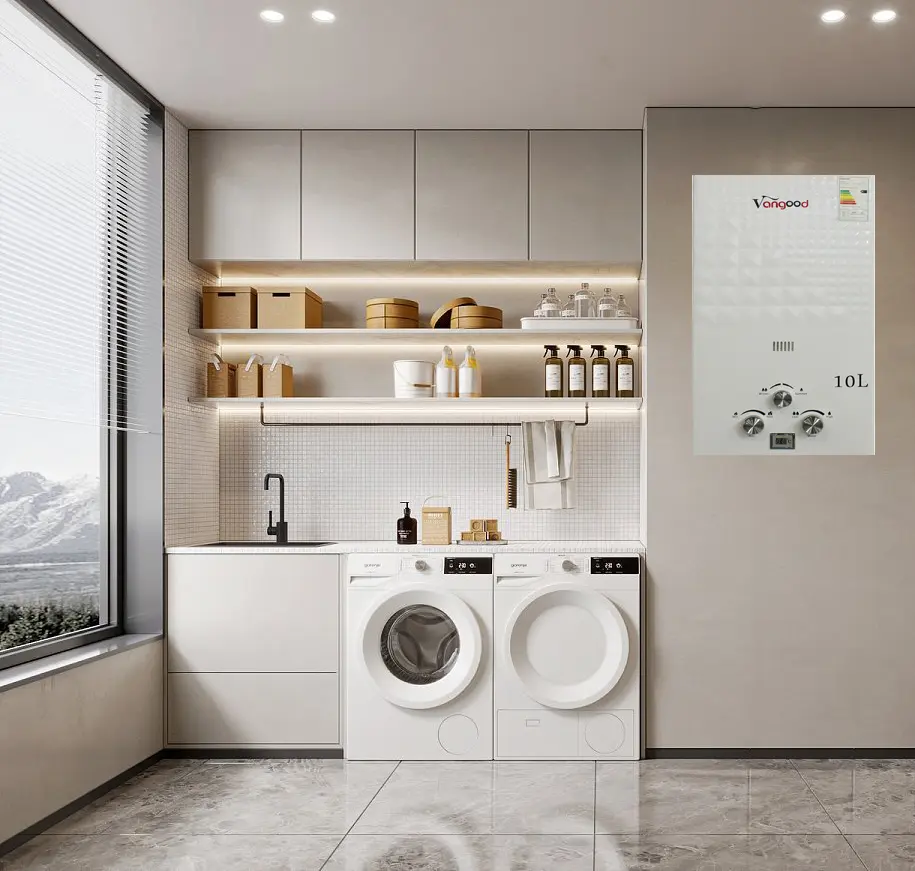 /flue-type-gas-water-heater/