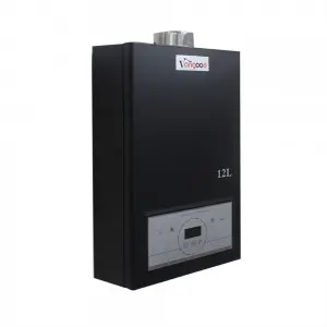 Domestic Instant Gas Water Heater For Spa And Pools