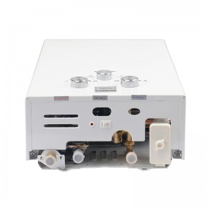 OEM Supply Customized High Efficiency and Energy Saving 6L-10L Wall Mounted Gas Water Heaters