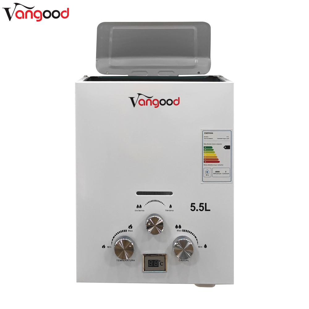 Professional China Flue Type Tankless Instant Bathroom Shower Gas Water Heaters