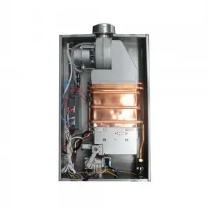 Instant 12l High Efficiency Tankless Gas Water Heater China Wholesale Price