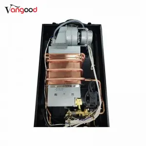 Quality Inspection for Chinese Manufacturer 6L 8L 10L with Raincap Portable Instant Gas Hot Water Heater System Tankless Gas Water Heaters