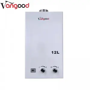 Wholesale Price Central Gas Instant Water Heater With Pressure Pump