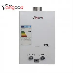 Economic 12L LPG Tankless Gas Water Heater Offering Efficient