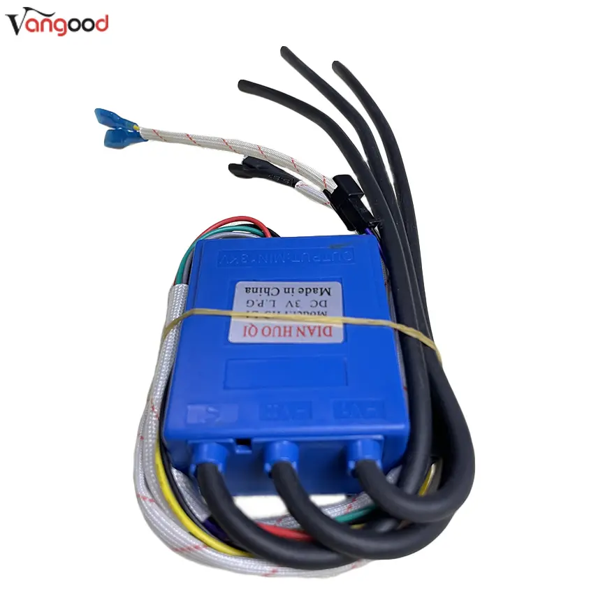 Online Exporter Factory Direct Good Quality Pulse Ignition of Gas Water Heater