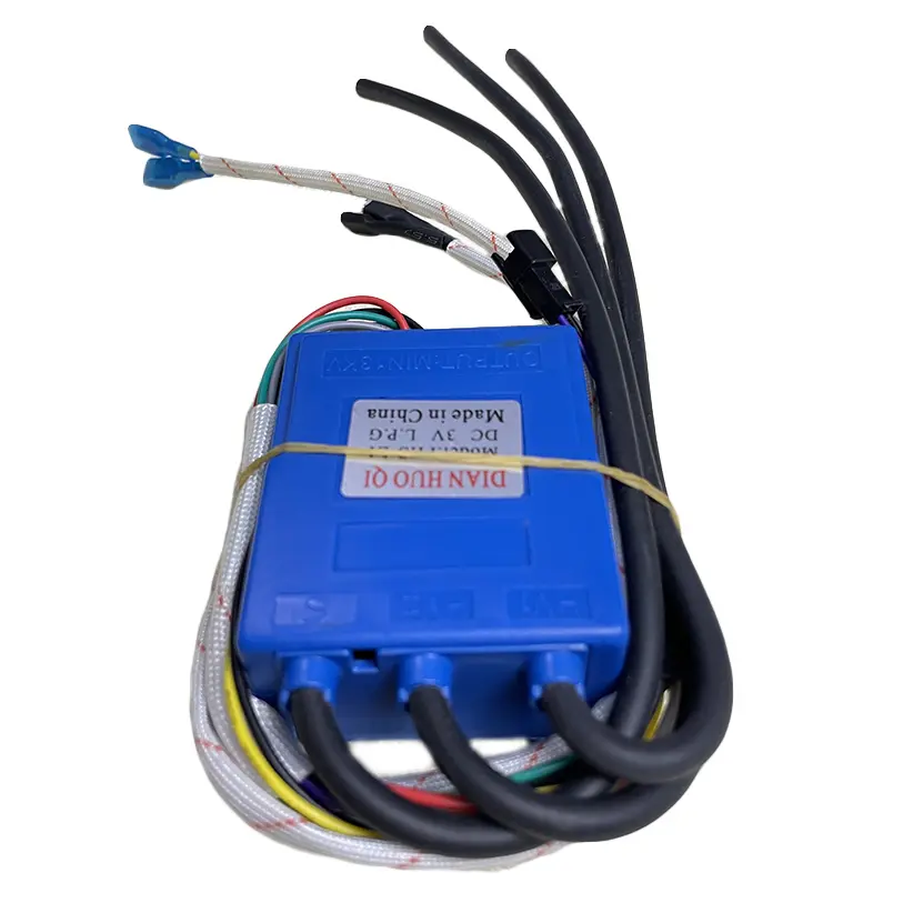 /double-ignition-set-igniter-controller-water-heater-accessories-product/