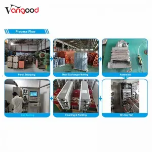 Quality Inspection for Chinese Manufacturer 6L 8L 10L with Raincap Portable Instant Gas Hot Water Heater System Tankless Gas Water Heaters