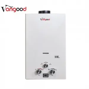 Efficient 10L Flue Gas Water Heater Instant Hot Water for Bathroom and Kitchen