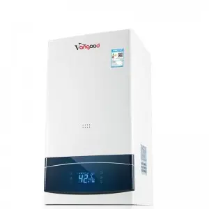 Factory made hot-sale Water Heater Tankless Smart LPG Outdoor Lead The Industry Competitive Price Outdoor Gas Water Heater