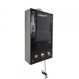Wholesale OEM Customized Hot Selling 24L Wall Mounted Gas Water Heater for Home Use Instant Hot Tankless