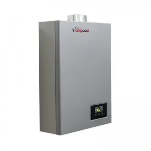 Adjustable Gas Water Heater On Demand Flue Exhaust Type Instant Heating Low Price Customized