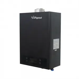 Lpg Gas Hot Water Heater Force Exhaust Type With Ce