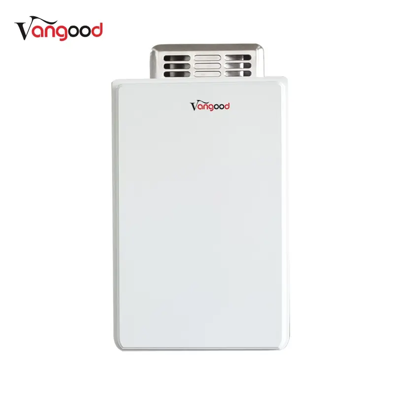 12L Portable LPG Tankless Water Heater for Outdoor and Home Use