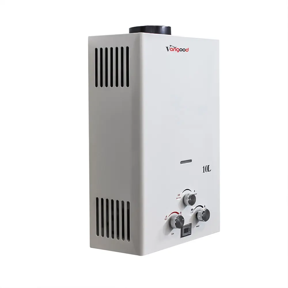 /flue-type-gas-water-heater/