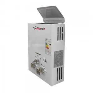Professional China China Flue Type Tankless Instant Hot Natural Propane LPG Bathroom Shower Gas Water Heaters