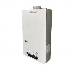 High Quality OEM Supplier New Design Surface Home Appliance Flue Type Gas Water Heater