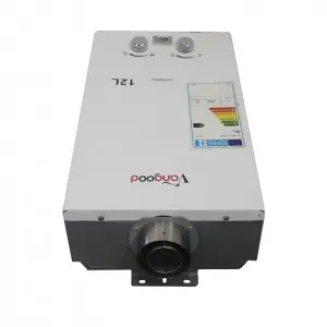 Economic 12L LPG Tankless Gas Water Heater Offering Efficient