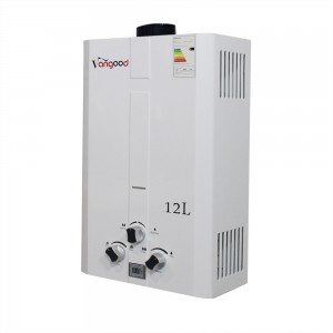 Flue Type Instant Gas Water Heater 12L For Whole House