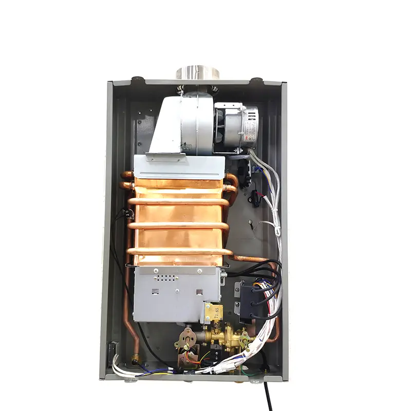 Advantages And Disadvantages Of Balanced Water Heaters
