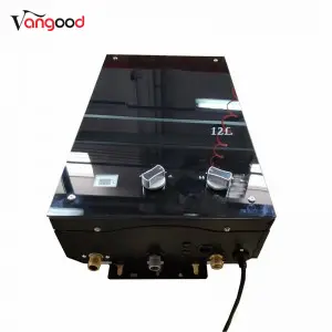 Quality Inspection for Chinese Manufacturer 6L 8L 10L with Raincap Portable Instant Gas Hot Water Heater System Tankless Gas Water Heaters