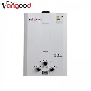 Flue Type Instant Gas Water Heater 12L For Whole House