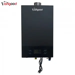 Professional Factory for Customized High Efficiency and Energy Saving 6L-10L Wall Mounted Gas Water Heaters