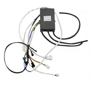 Pulse Igniter Of Constant Temperature Type Water Heater