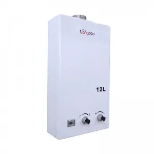 Wholesale Price Central Gas Instant Water Heater With Pressure Pump