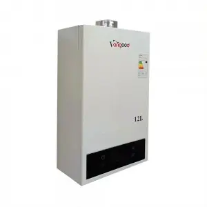 Instant 12l High Efficiency Tankless Gas Water Heater China Wholesale Price