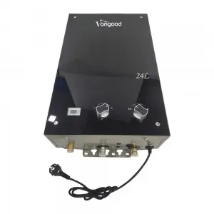Wholesale OEM Customized Hot Selling 24L Wall Mounted Gas Water Heater for Home Use Instant Hot Tankless
