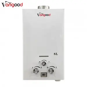 Hot sale Professional Manufacturer Energy Saving Liquid Instant Shower Gas Water Heater