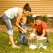 Family giving dog a bath.