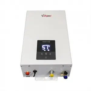 Constant Type Gas Water Heater With Precise Temperature Control