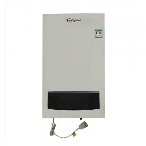 Circulator-Boiler High Temperature Household Gas Boiler