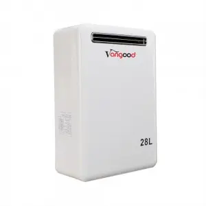 Outside Home Gas Water Heater Constant Temperature Multiple Water Points