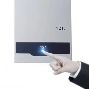 Discountable price 12L LPG Domestic Balanced Exhaust Propane Tankless Gas Water Heater